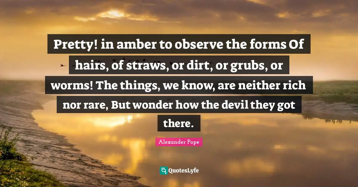 Pretty! in amber to observe the forms Of hairs, of straws, or dirt, or grubs, or worms! The things, we know, are neither rich nor rare, But wonder how the devil they got there.