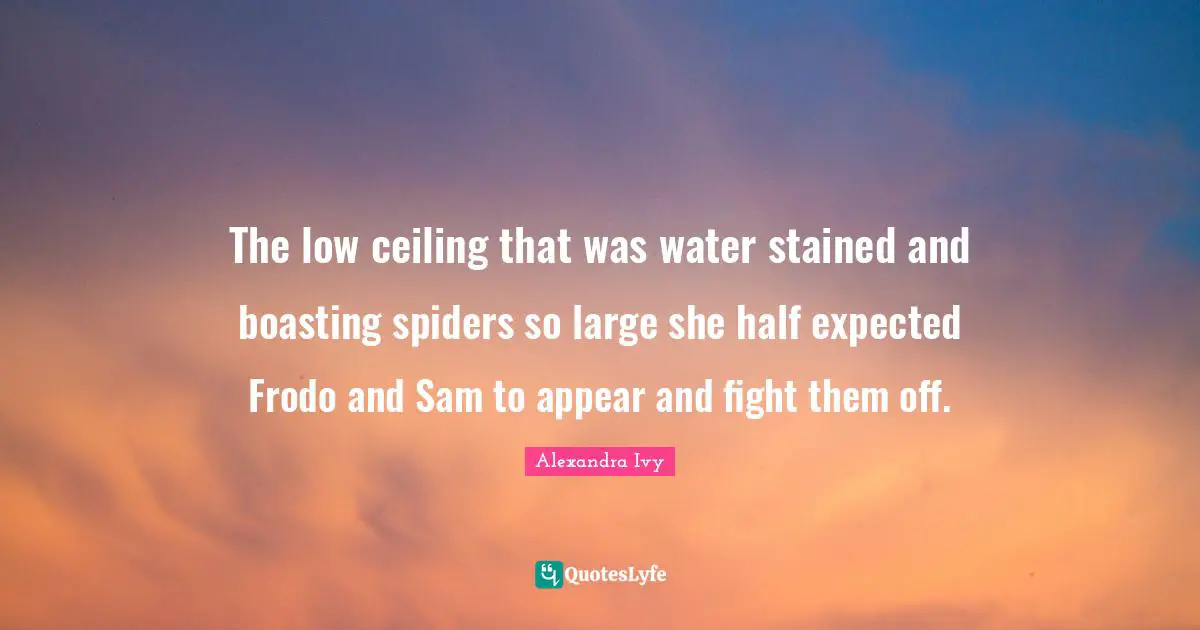 The low ceiling that was water stained and boasting spiders so large she half expected Frodo and Sam to appear and fight them off.
