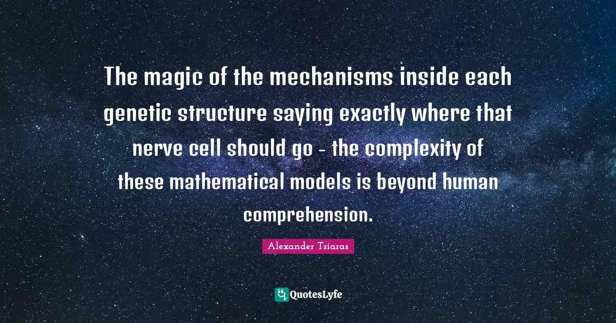 The magic of the mechanisms inside each genetic structure saying exactly where that nerve cell should go - the complexity of these mathematical models is beyond human comprehension.