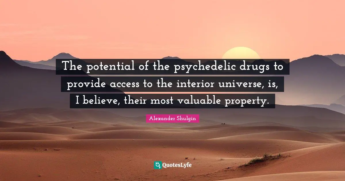 The potential of the psychedelic drugs to provide access to the interior universe, is, I believe, their most valuable property.