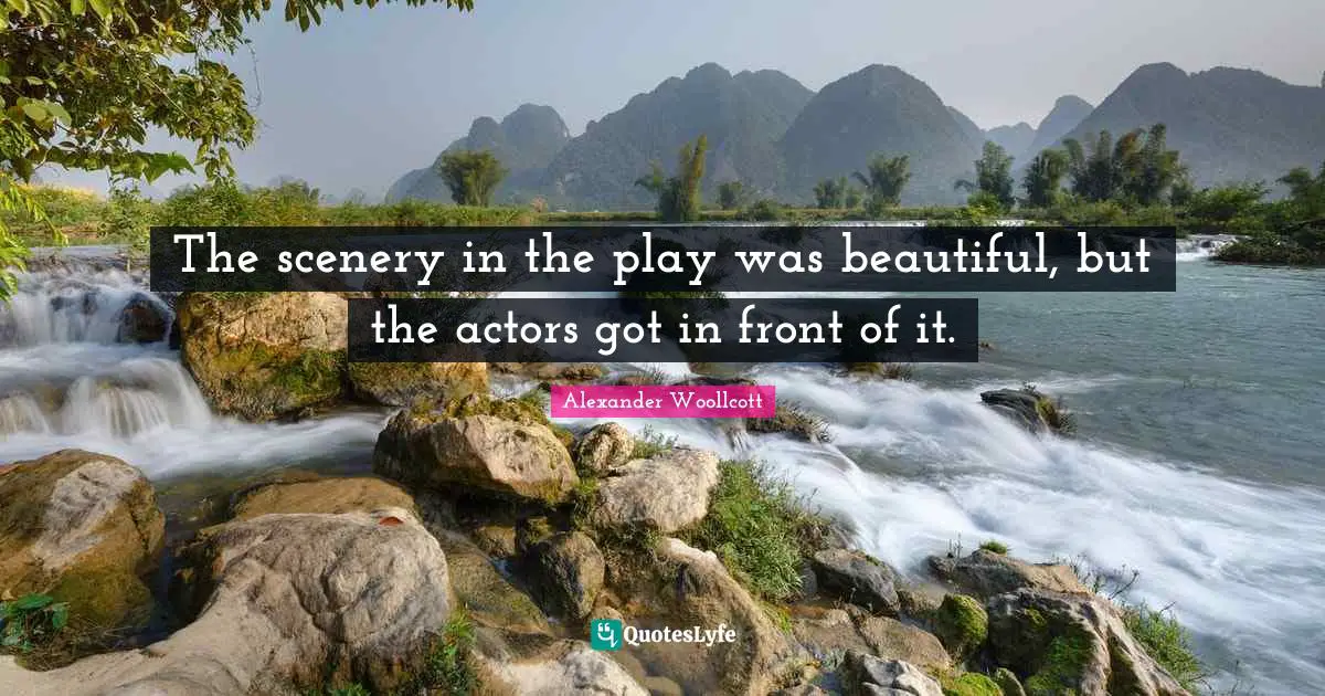 The scenery in the play was beautiful, but the actors got in front of it.