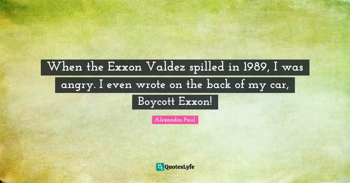 When the Exxon Valdez spilled in 1989, I was angry. I even wrote on the back of my car, Boycott Exxon!