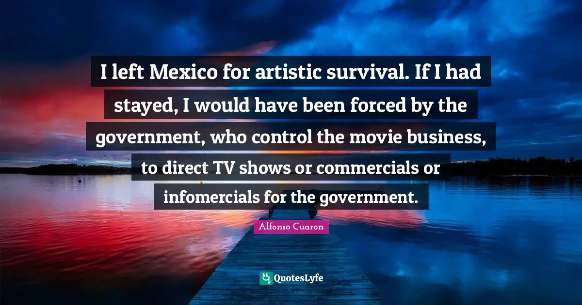 I left Mexico for artistic survival. If I had stayed, I would have been forced by the government, who control the movie business, to direct TV shows or commercials or infomercials for the government.