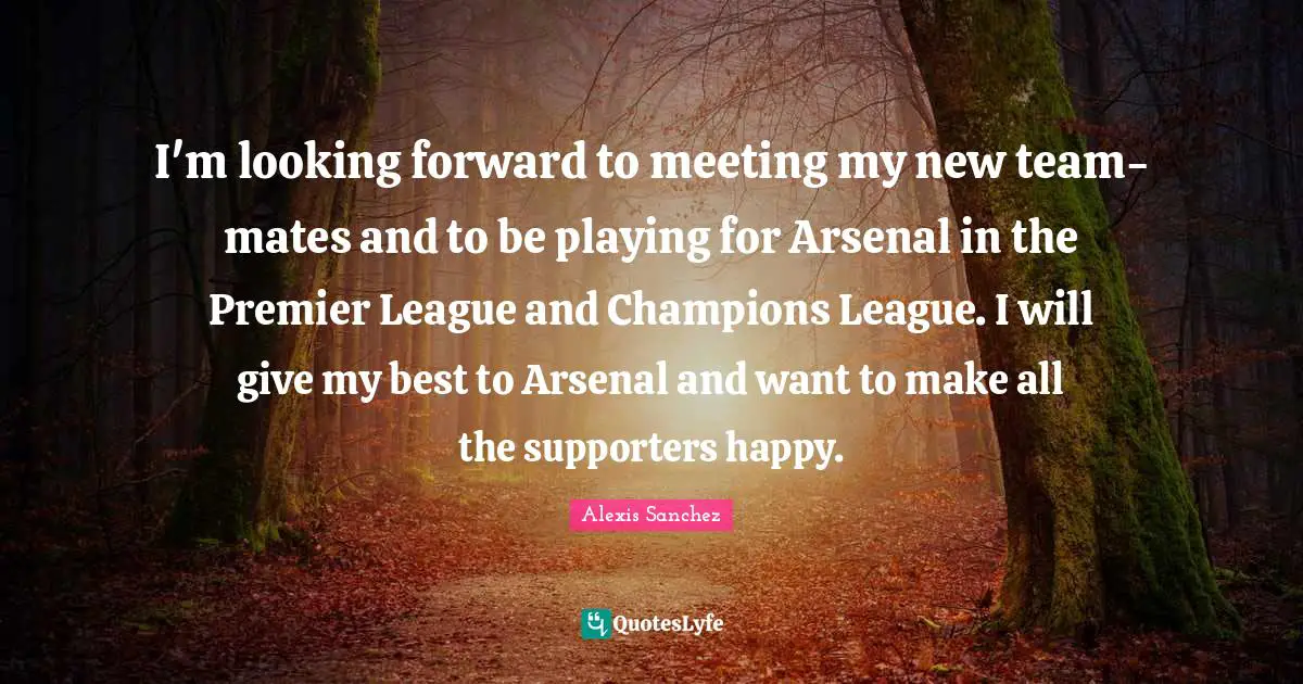I'm looking forward to meeting my new team-mates and to be playing for Arsenal in the Premier League and Champions League. I will give my best to Arsenal and want to make all the supporters happy.