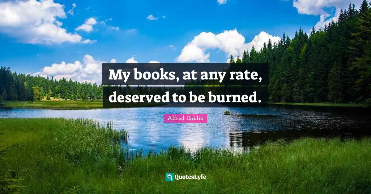 My books, at any rate, deserved to be burned.