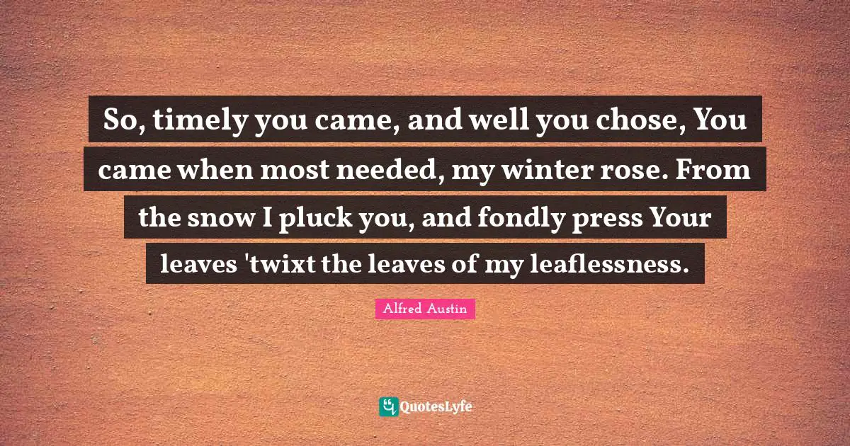 So, timely you came, and well you chose, You came when most needed, my winter rose. From the snow I pluck you, and fondly press Your leaves 'twixt the leaves of my leaflessness.
