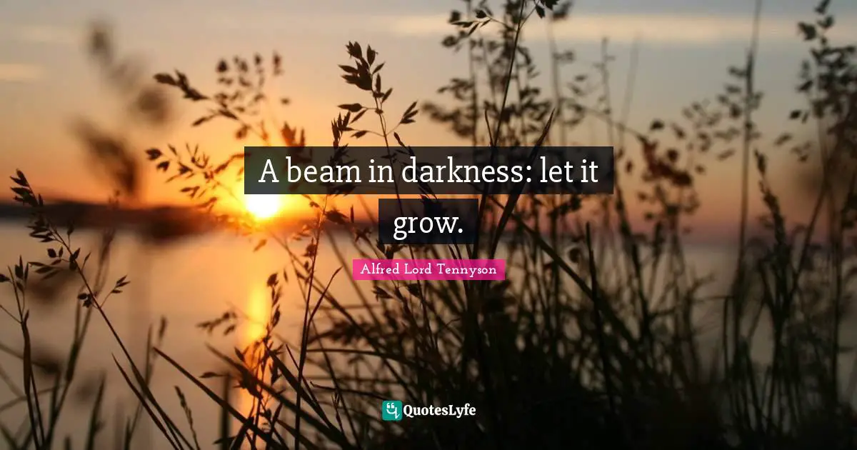 A beam in darkness: let it grow.