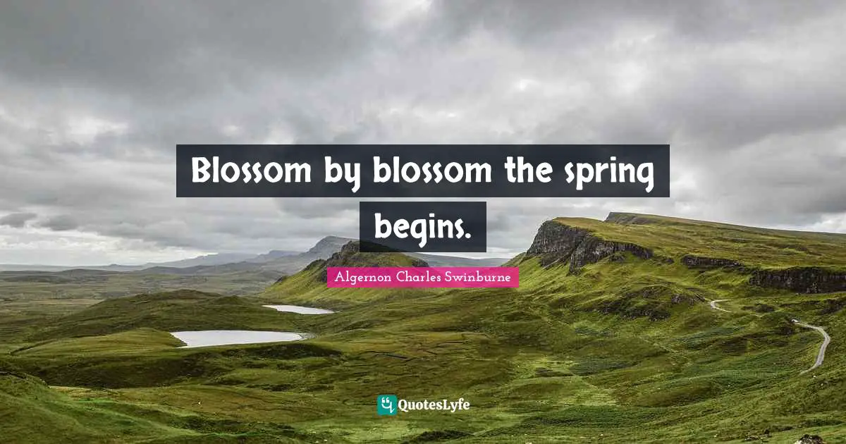 Blossom by blossom the spring begins.