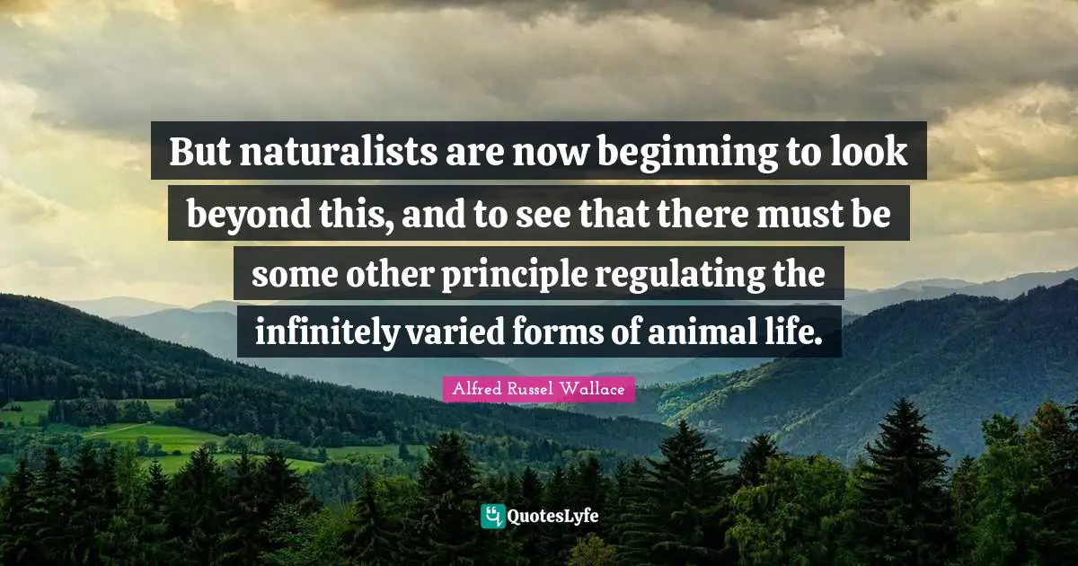 But naturalists are now beginning to look beyond this, and to see that there must be some other principle regulating the infinitely varied forms of animal life.