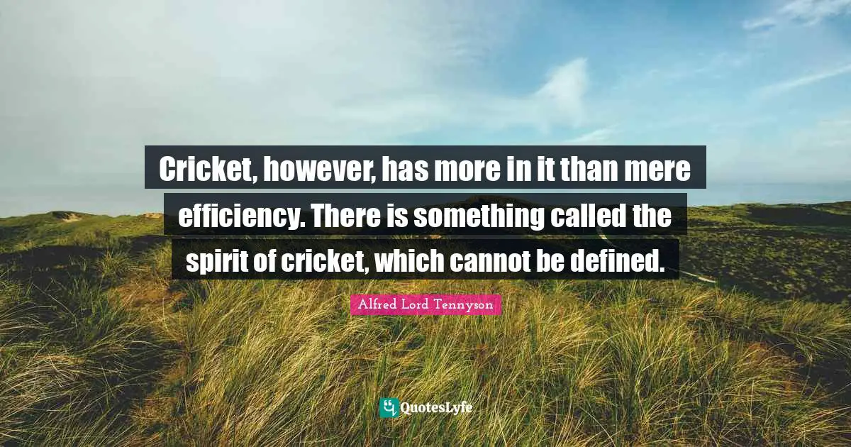Cricket, however, has more in it than mere efficiency. There is something called the spirit of cricket, which cannot be defined.