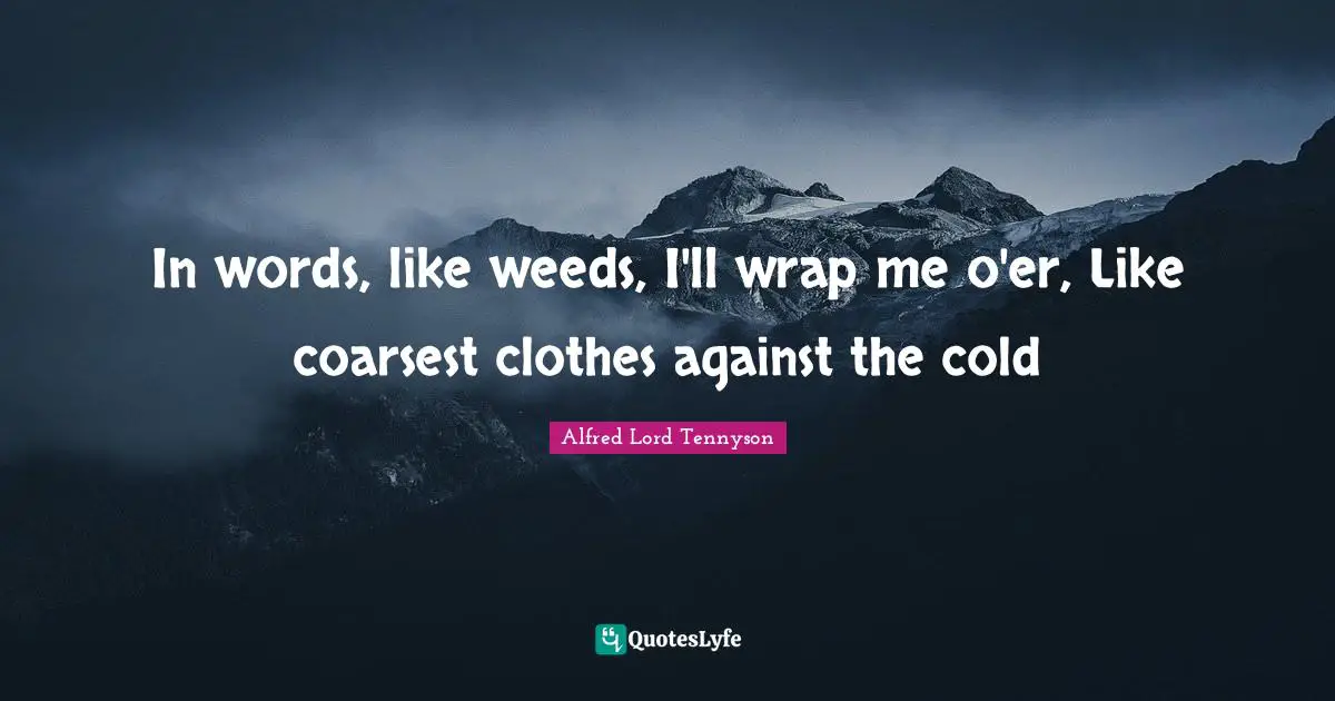 In words, like weeds, I'll wrap me o'er, Like coarsest clothes against the cold