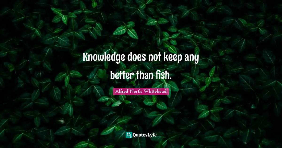 Knowledge does not keep any better than fish.