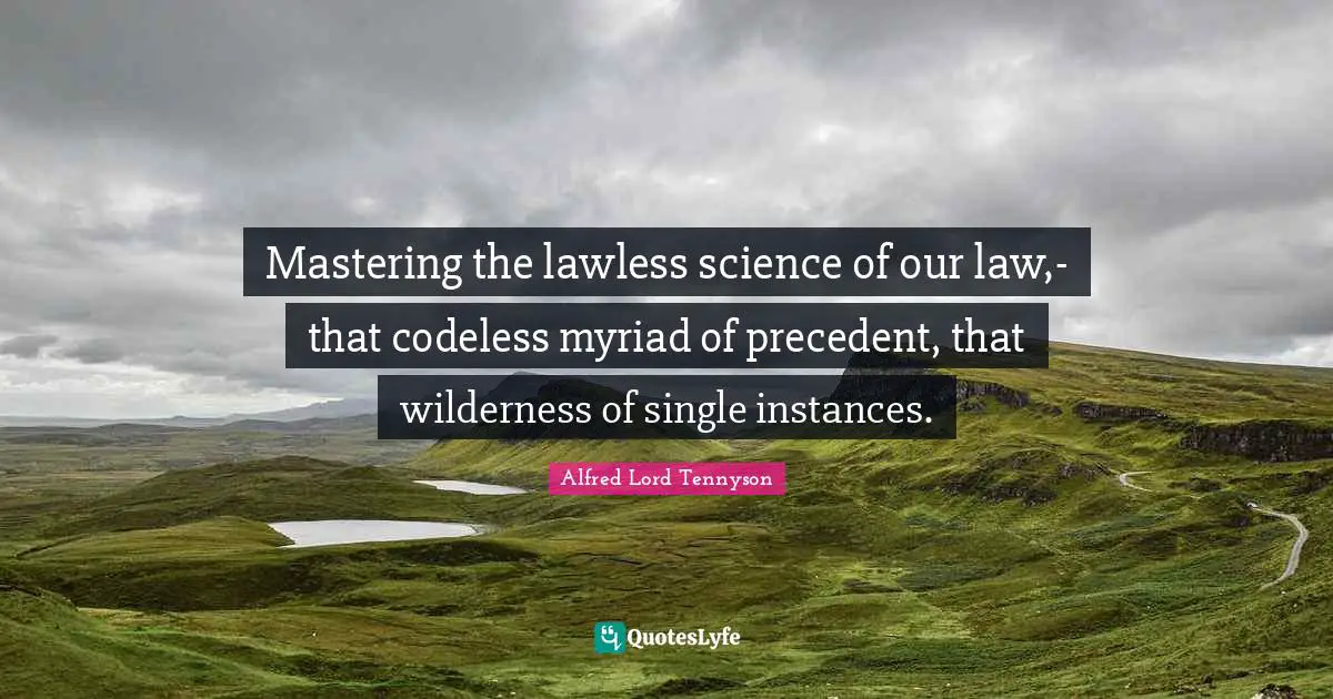 Mastering the lawless science of our law,- that codeless myriad of precedent, that wilderness of single instances.