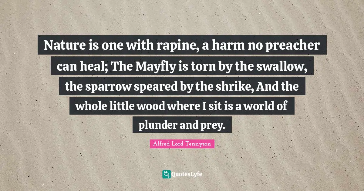 Plunder Quotes: "Nature is one with rapine, a harm no preacher can heal; The Mayfly is torn by the swallow, the sparrow speared by the shrike, And the whole little wood where I sit is a world of plunder and prey."