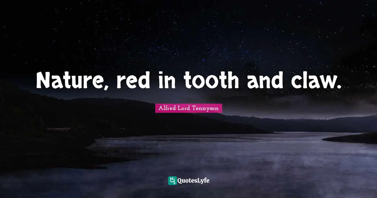Nature, red in tooth and claw.