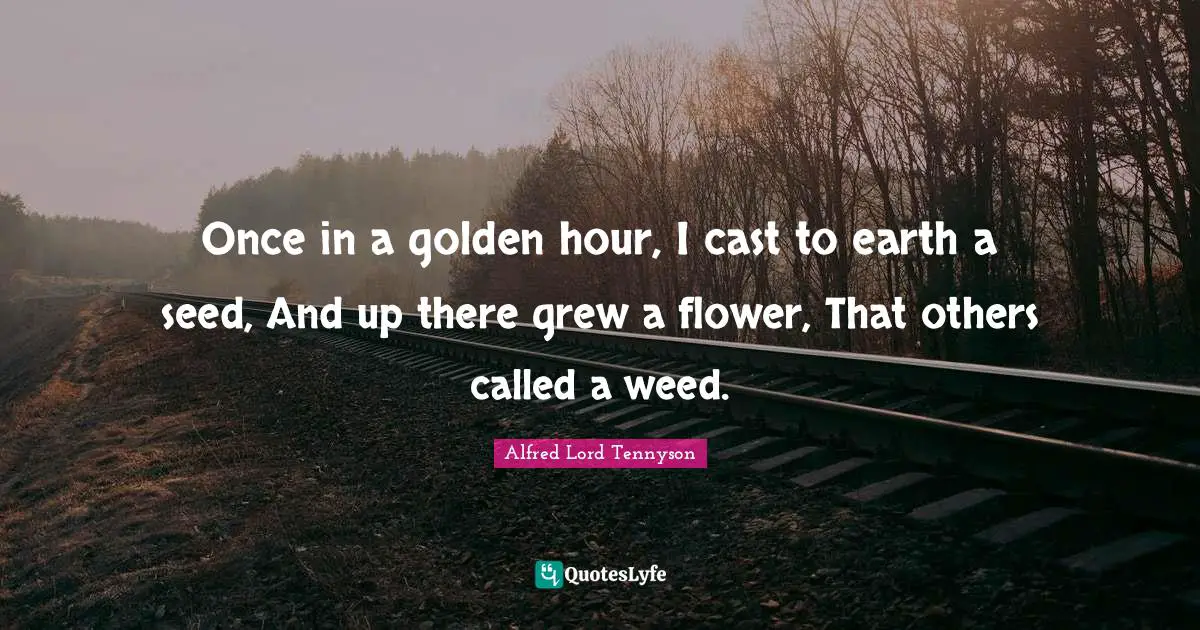 Once in a golden hour, I cast to earth a seed, And up there grew a flower, That others called a weed.
