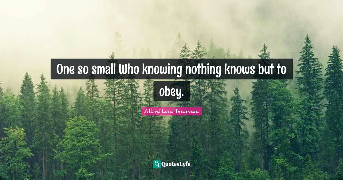 One so small Who knowing nothing knows but to obey.