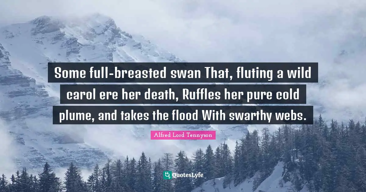 Some full-breasted swan That, fluting a wild carol ere her death, Ruffles her pure cold plume, and takes the flood With swarthy webs.