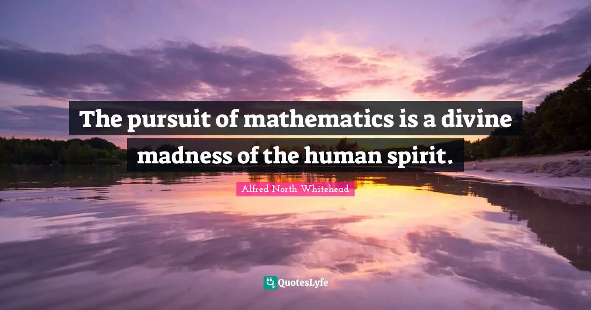 The pursuit of mathematics is a divine madness of the human spirit.