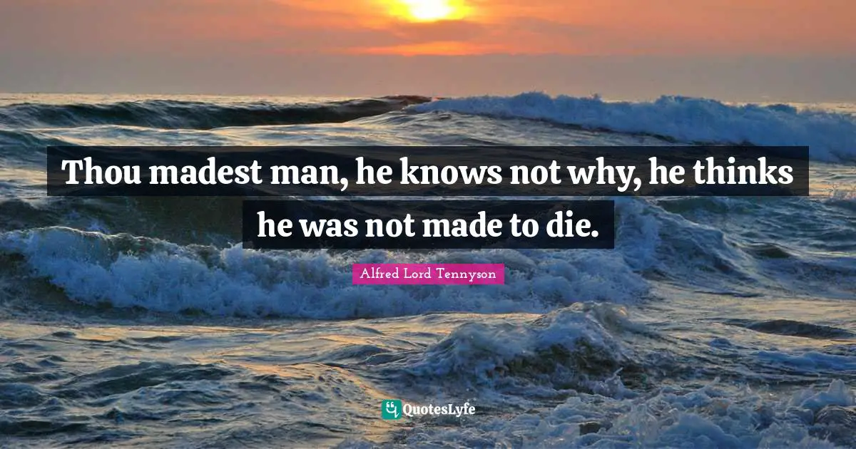 Thou madest man, he knows not why, he thinks he was not made to die.
