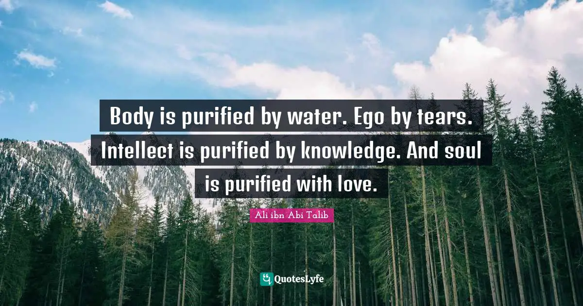 Knowledge Quotes: "Body is purified by water. Ego by tears. Intellect is purified by knowledge. And soul is purified with love."