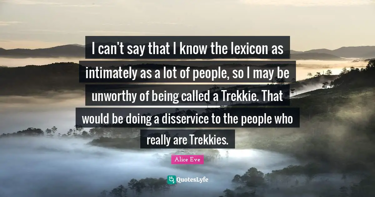 I can't say that I know the lexicon as intimately as a lot of people, so I may be unworthy of being called a Trekkie. That would be doing a disservice to the people who really are Trekkies.