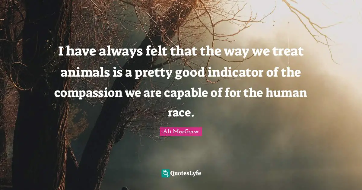 I have always felt that the way we treat animals is a pretty good indicator of the compassion we are capable of for the human race.