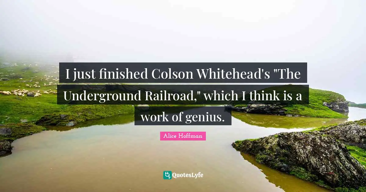 I just finished Colson Whitehead's "The Underground Railroad," which I think is a work of genius.