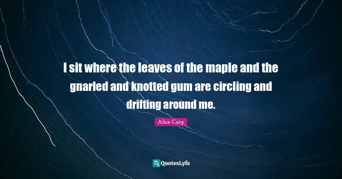 Maple Quotes: "I sit where the leaves of the maple and the gnarled and knotted gum are circling and drifting around me."