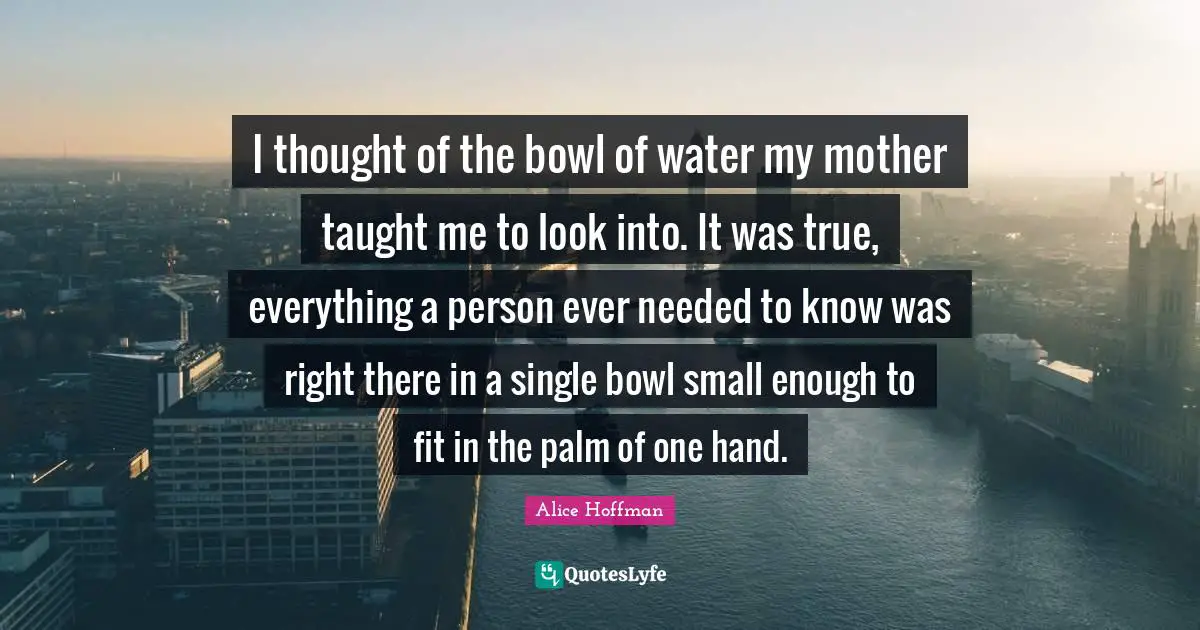 I thought of the bowl of water my mother taught me to look into. It was true, everything a person ever needed to know was right there in a single bowl small enough to fit in the palm of one hand.