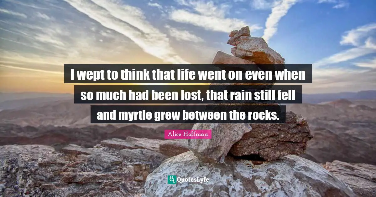 I wept to think that life went on even when so much had been lost, that rain still fell and myrtle grew between the rocks.