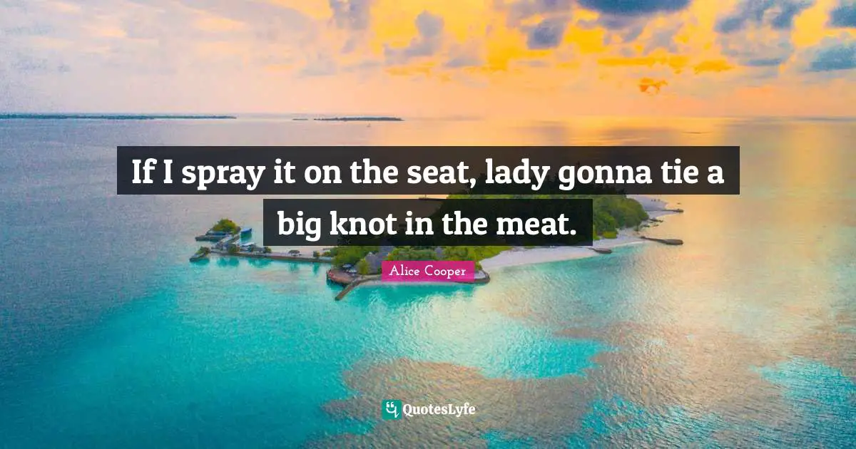 Alice Cooper Quotes: "If I spray it on the seat, lady gonna tie a big knot in the meat."