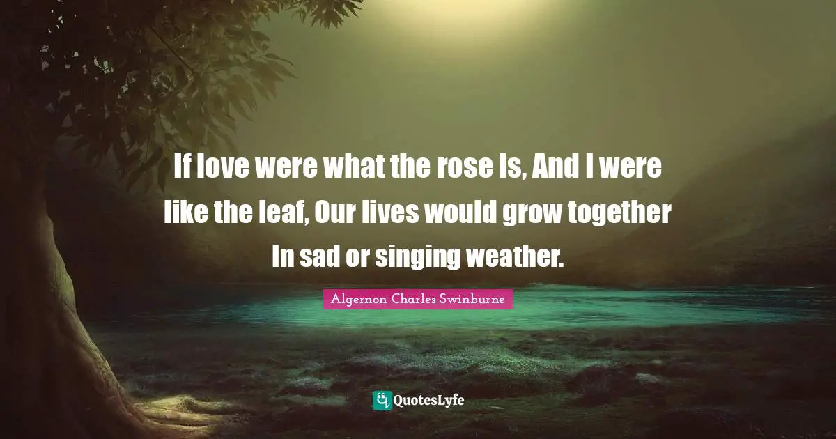 If love were what the rose is, And I were like the leaf, Our lives would grow together In sad or singing weather.