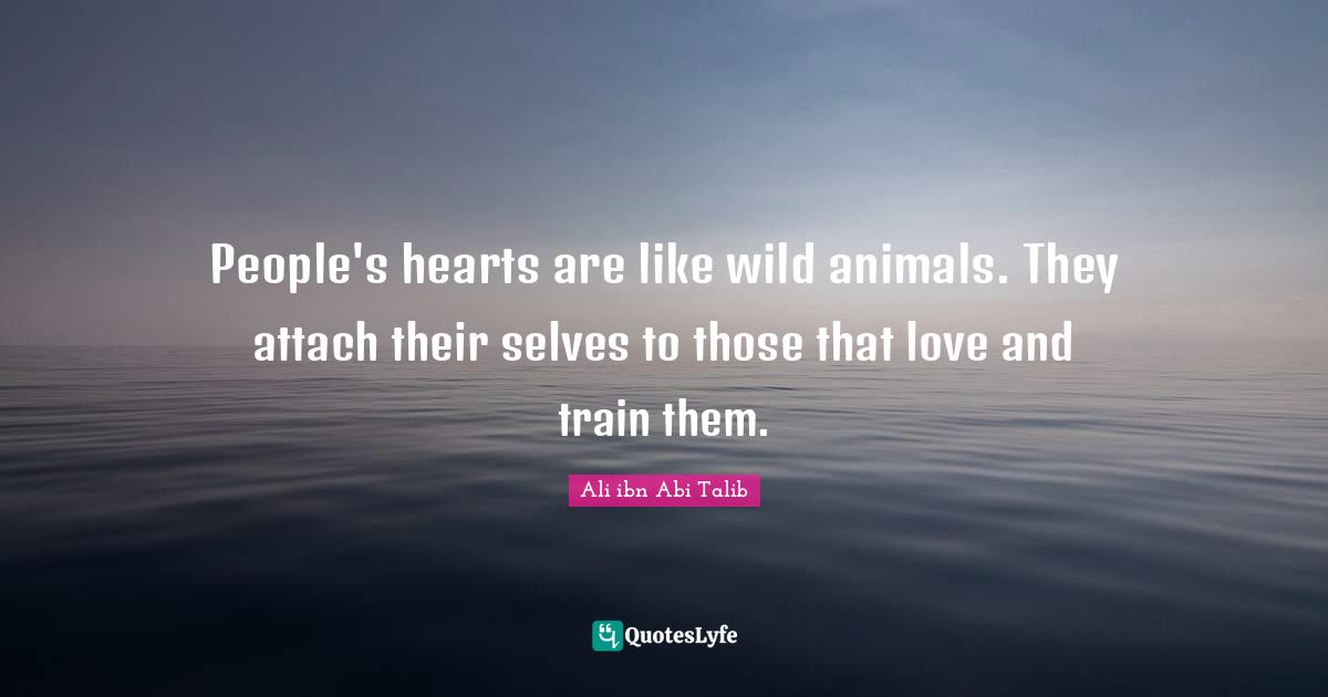 People's hearts are like wild animals. They attach their selves to those that love and train them.
