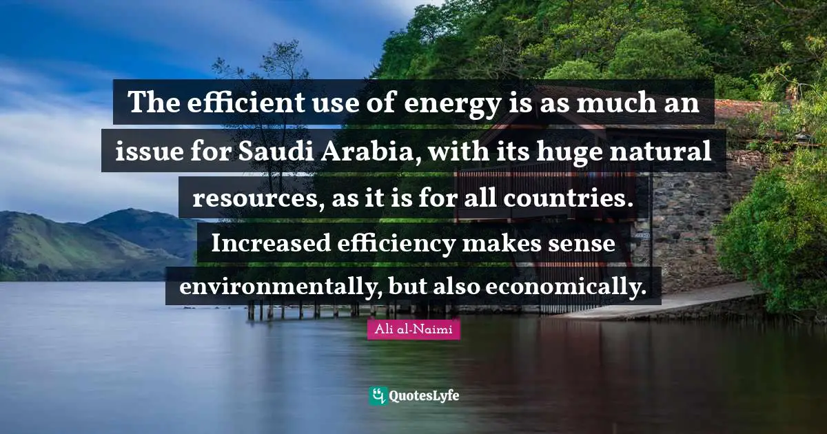 The efficient use of energy is as much an issue for Saudi Arabia, with its huge natural resources, as it is for all countries. Increased efficiency makes sense environmentally, but also economically.