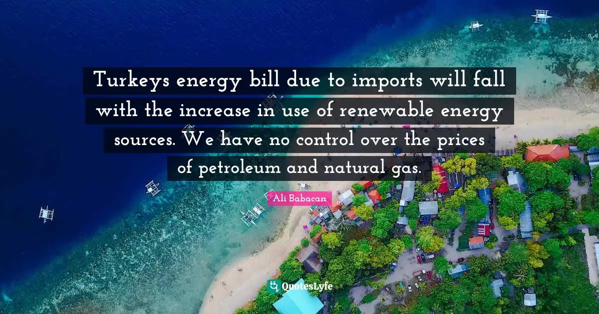 Turkeys energy bill due to imports will fall with the increase in use of renewable energy sources. We have no control over the prices of petroleum and natural gas.