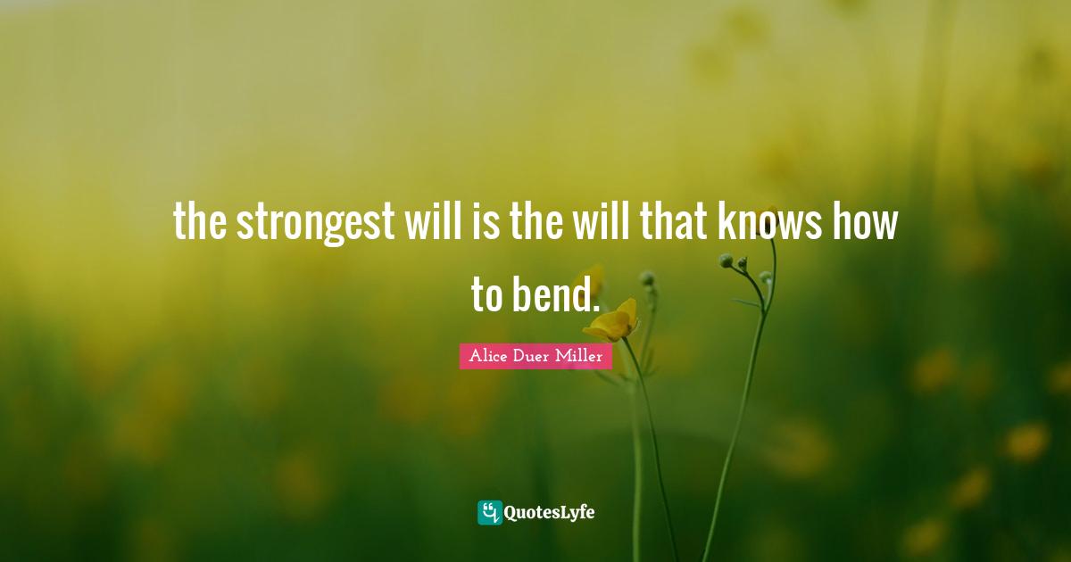 the strongest will is the will that knows how to bend.