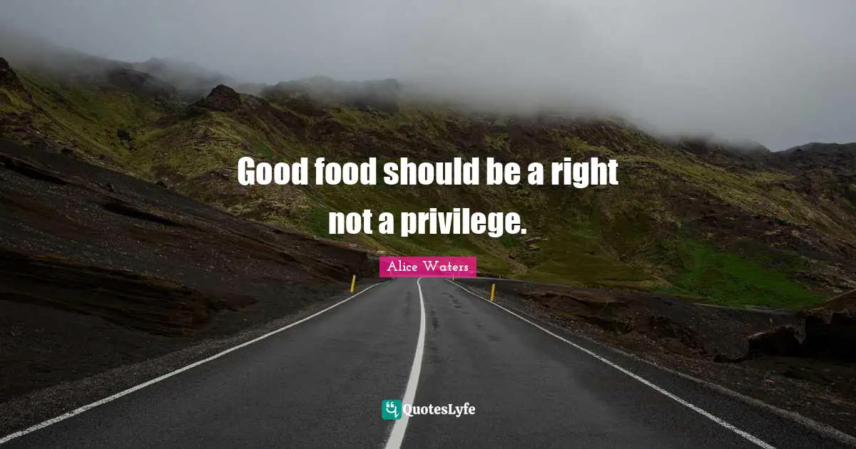 Alice Waters Quotes: "Good food should be a right not a privilege."