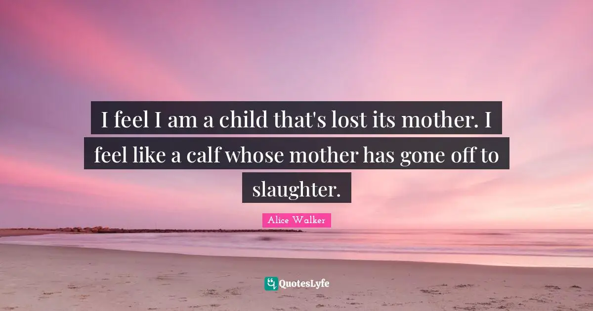 Slaughter Quotes: "I feel I am a child that's lost its mother. I feel like a calf whose mother has gone off to slaughter."