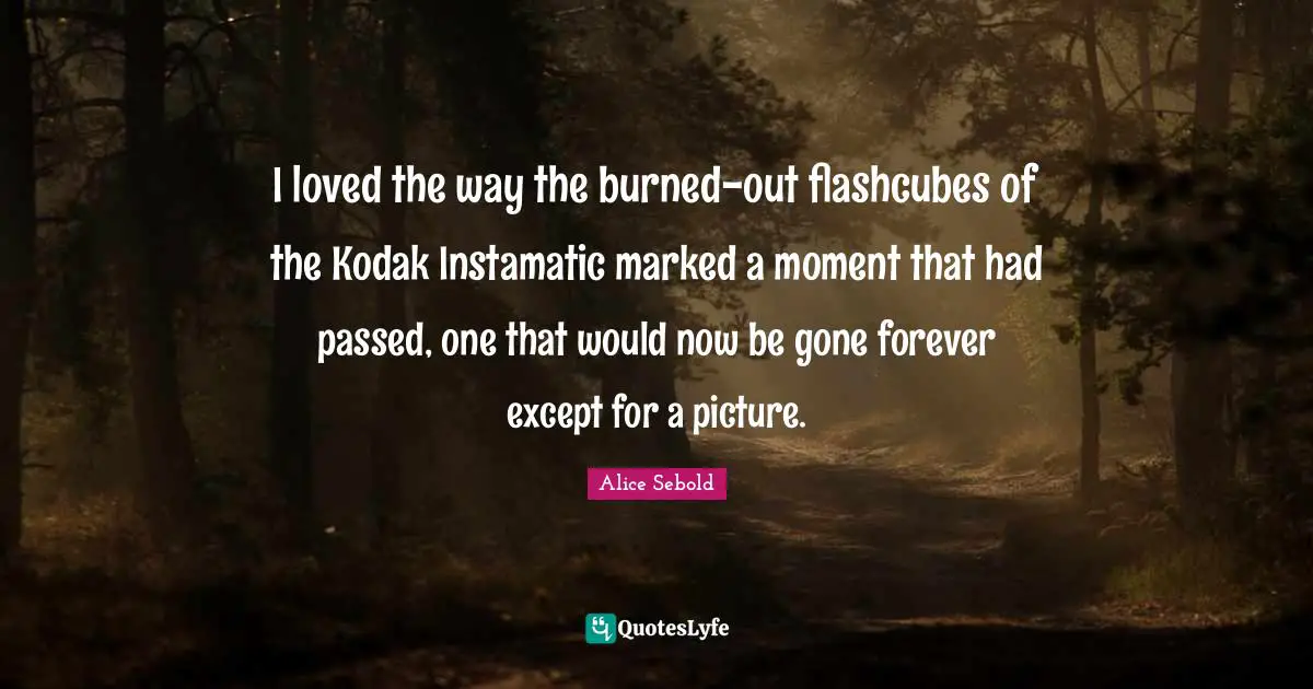 Alice Sebold Quotes: "I loved the way the burned-out flashcubes of the Kodak Instamatic marked a moment that had passed, one that would now be gone forever except for a picture."