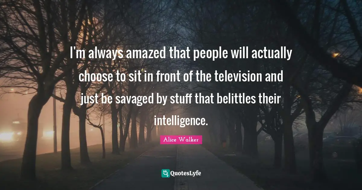 I'm always amazed that people will actually choose to sit in front of the television and just be savaged by stuff that belittles their intelligence.