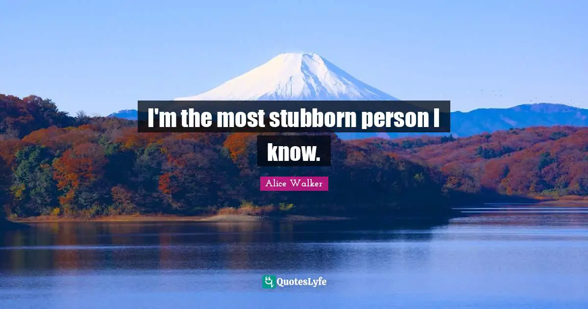 I'm the most stubborn person I know.