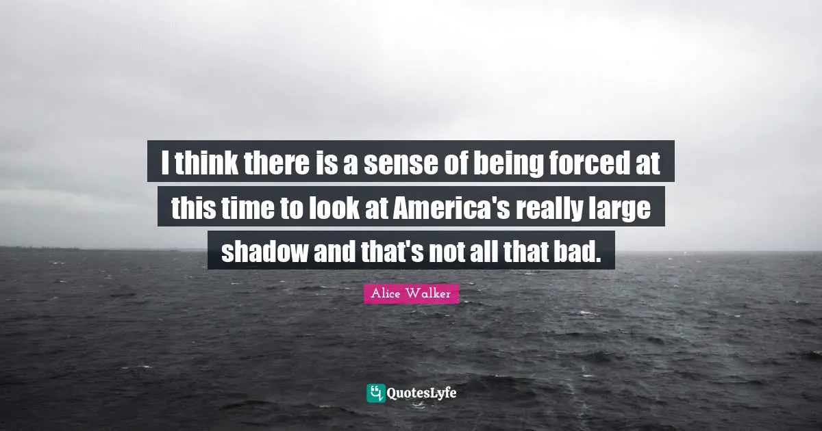 I think there is a sense of being forced at this time to look at America's really large shadow and that's not all that bad.