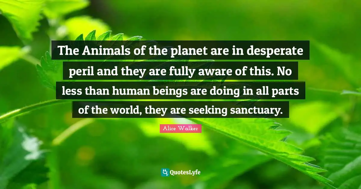 The Animals of the planet are in desperate peril and they are fully aware of this. No less than human beings are doing in all parts of the world, they are seeking sanctuary.