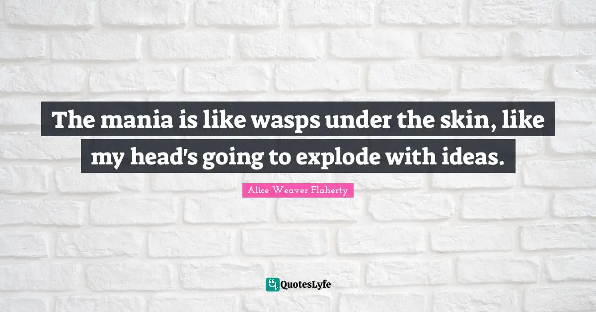 The mania is like wasps under the skin, like my head's going to explode with ideas.