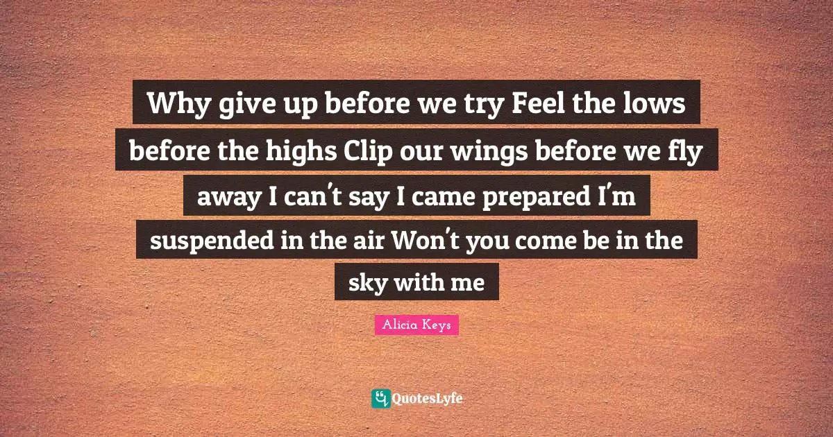 Why give up before we try Feel the lows before the highs Clip our wings before we fly away I can't say I came prepared I'm suspended in the air Won't you come be in the sky with me
