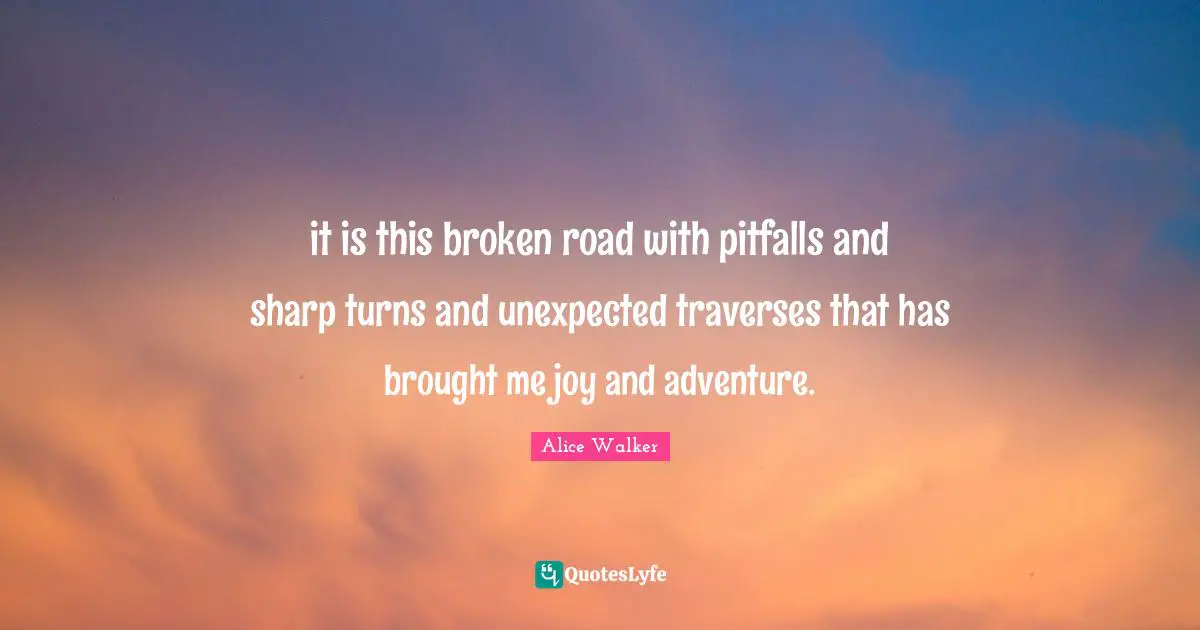 it is this broken road with pitfalls and sharp turns and unexpected traverses that has brought me joy and adventure.
