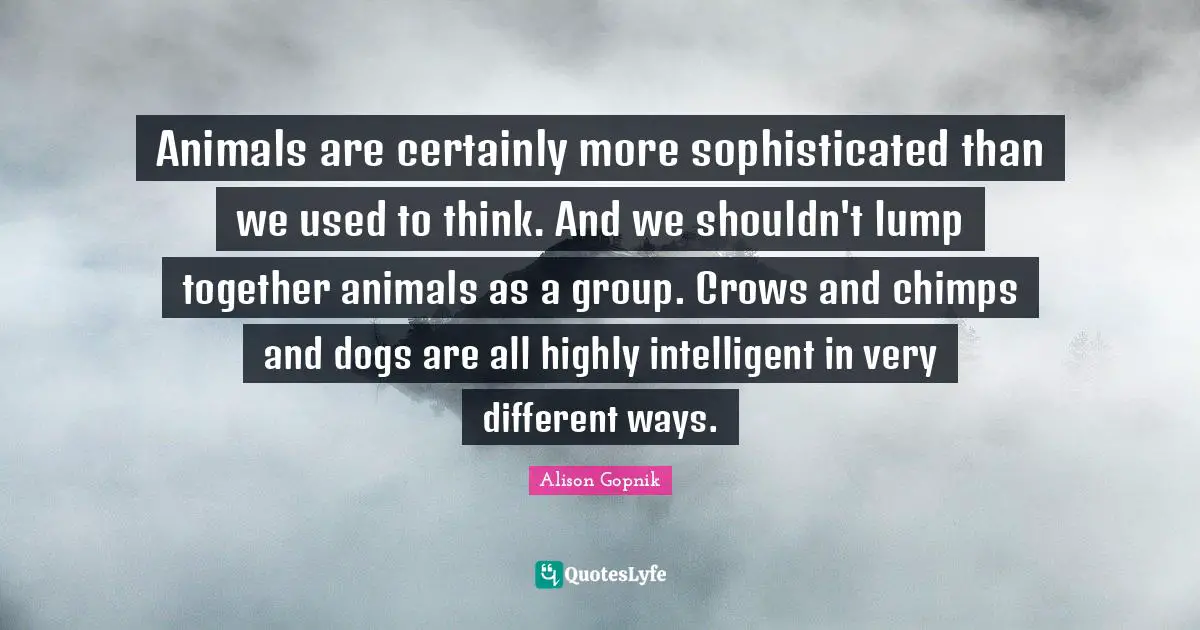 Animals are certainly more sophisticated than we used to think. And we shouldn't lump together animals as a group. Crows and chimps and dogs are all highly intelligent in very different ways.