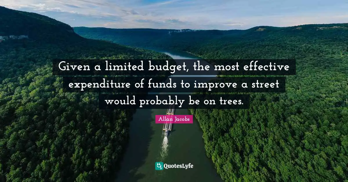 Given a limited budget, the most effective expenditure of funds to improve a street would probably be on trees.