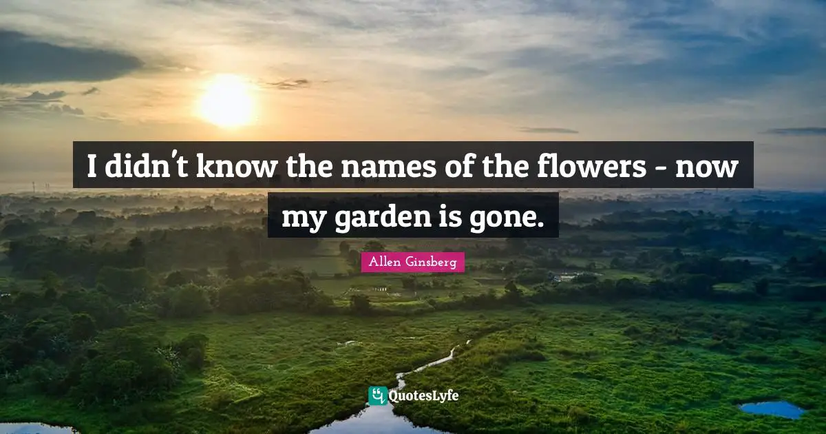 I didn't know the names of the flowers - now my garden is gone.